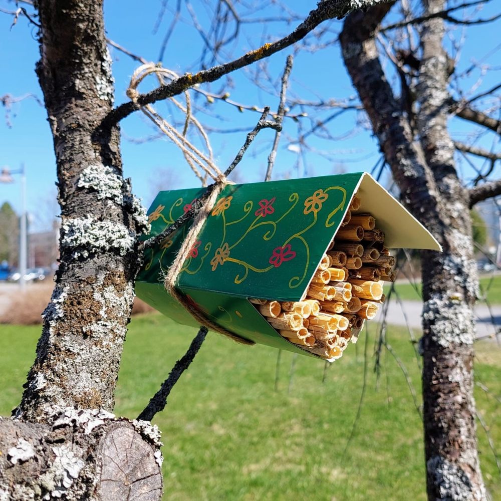 Hyönteishotelli neliö
