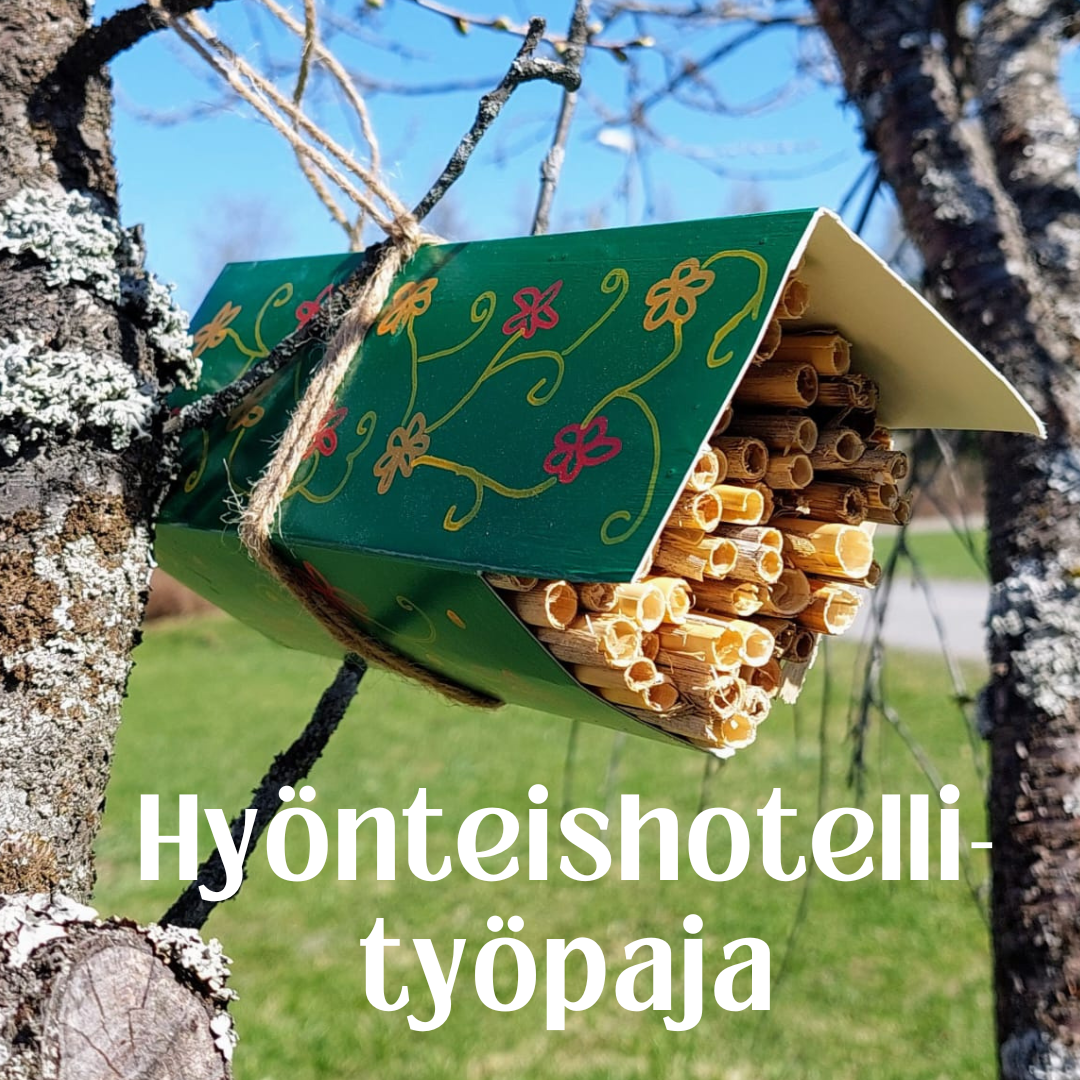 Hyönteishotellityöpaja