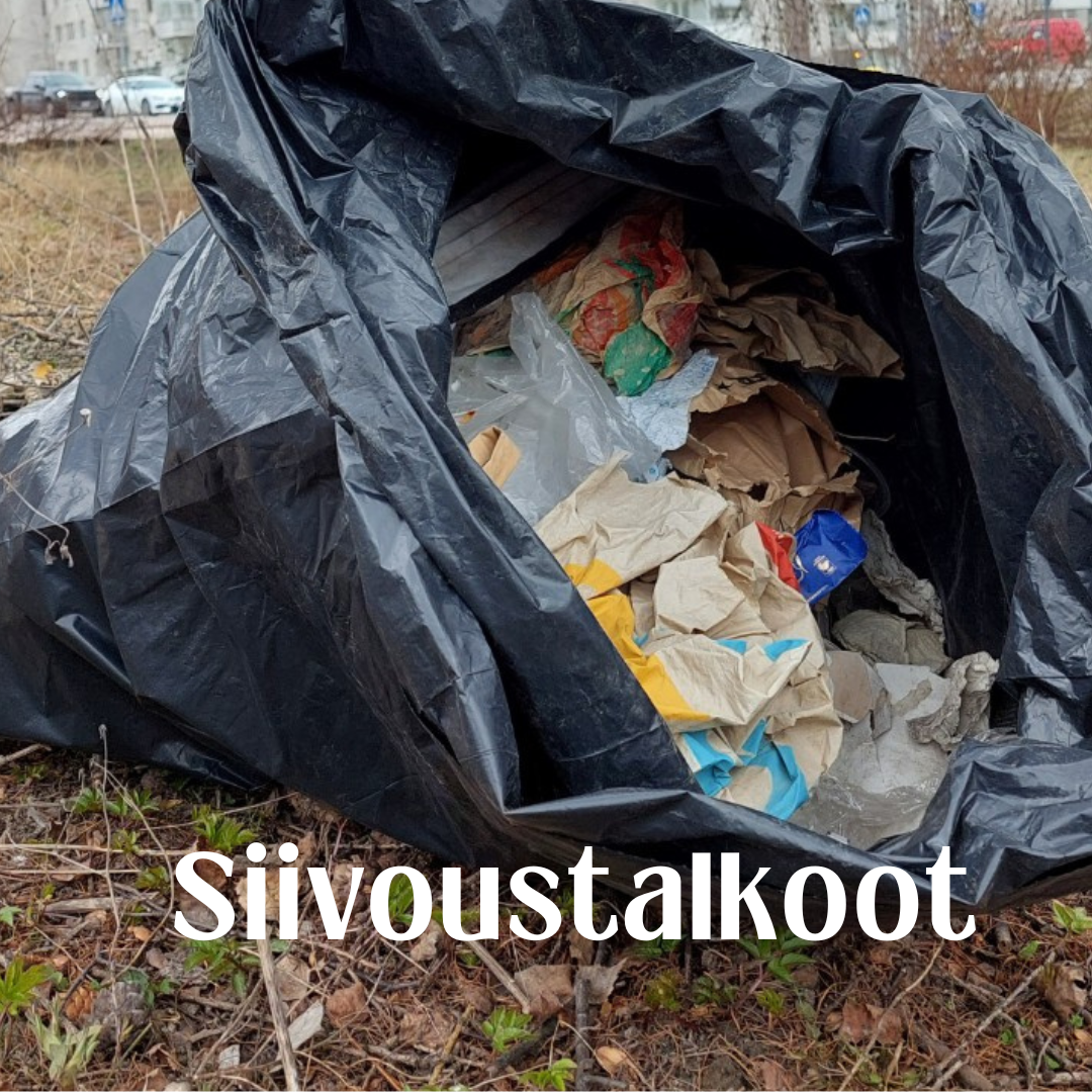 Siivoustalkoot