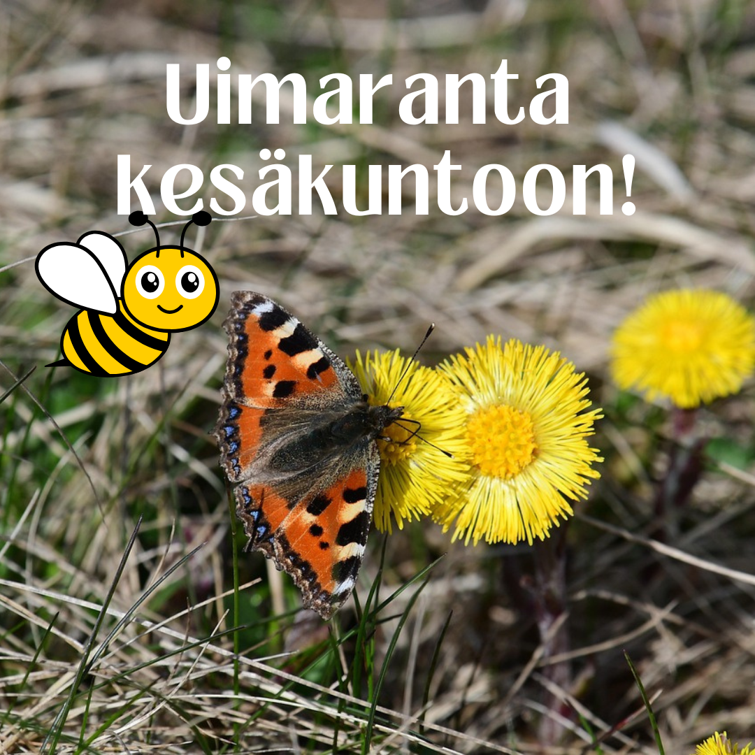 Uimaranta (1)
